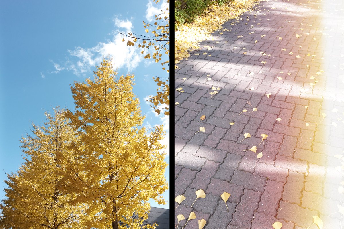 Yuri (@camel8326) / Posts / X