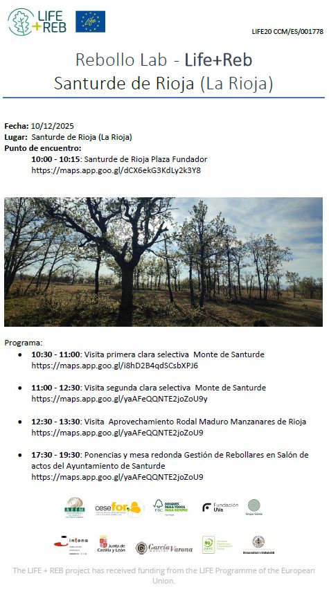 LifeRebollo tweet media