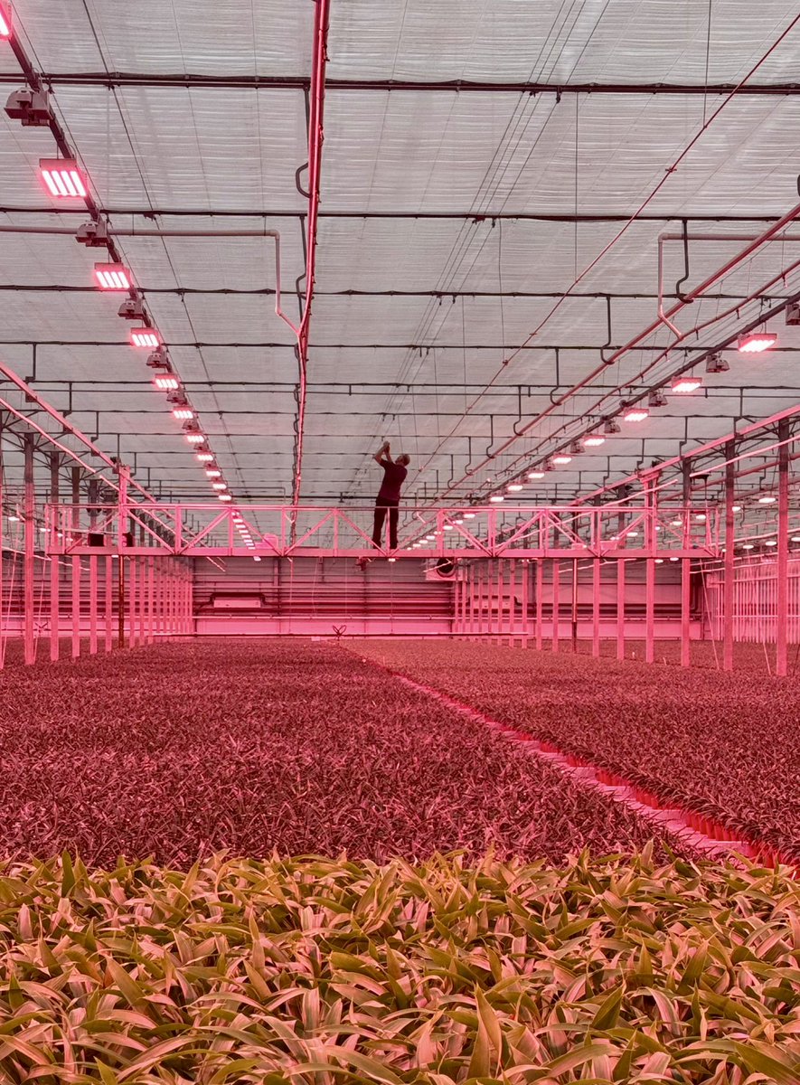 35 jaar vakmanschap en toewijding: Martin Damen in het zonnetje! 🤩 Begonnen als servicemonteur, doorgegroeid tot servicecoördinator, en al die jaren een vertrouwd gezicht in ons bedrijf. Martin, van harte gefeliciteerd met jouw 35-jarig #jubileum 🎉 en bedankt voor al je inzet💙