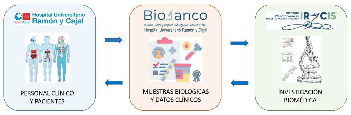 📢 Publicado artículo en colaboración con <a href="/ACanPan/">ACanPan</a> 
La intención es la de acercar la ciencia y los Biobancos a pacientes, ya que sin su colaboración en la donación de muestras y datos, no sería posible avanzar.
<a href="/PNBB_ISCIII/">Platform ISCIII Biomodels and Biobanks</a> 
👇👇
asociacioncancerdepancreas.org/cancer-de-panc…