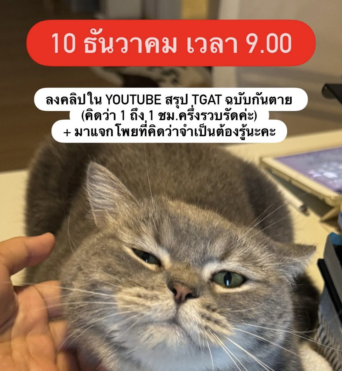 pmooktutor's tweet image. 10 ธันวาคมนี้ เวลา 9 โมงเช้า ลงคลิปสรุปกันตาย TGAT1 ใน Youtube ช่องพี่นะคะ : youtube.com/@pmooktutorr?s… มาเรียนมารับทริคได้เลยค่ะ ✌🏼

#dek69