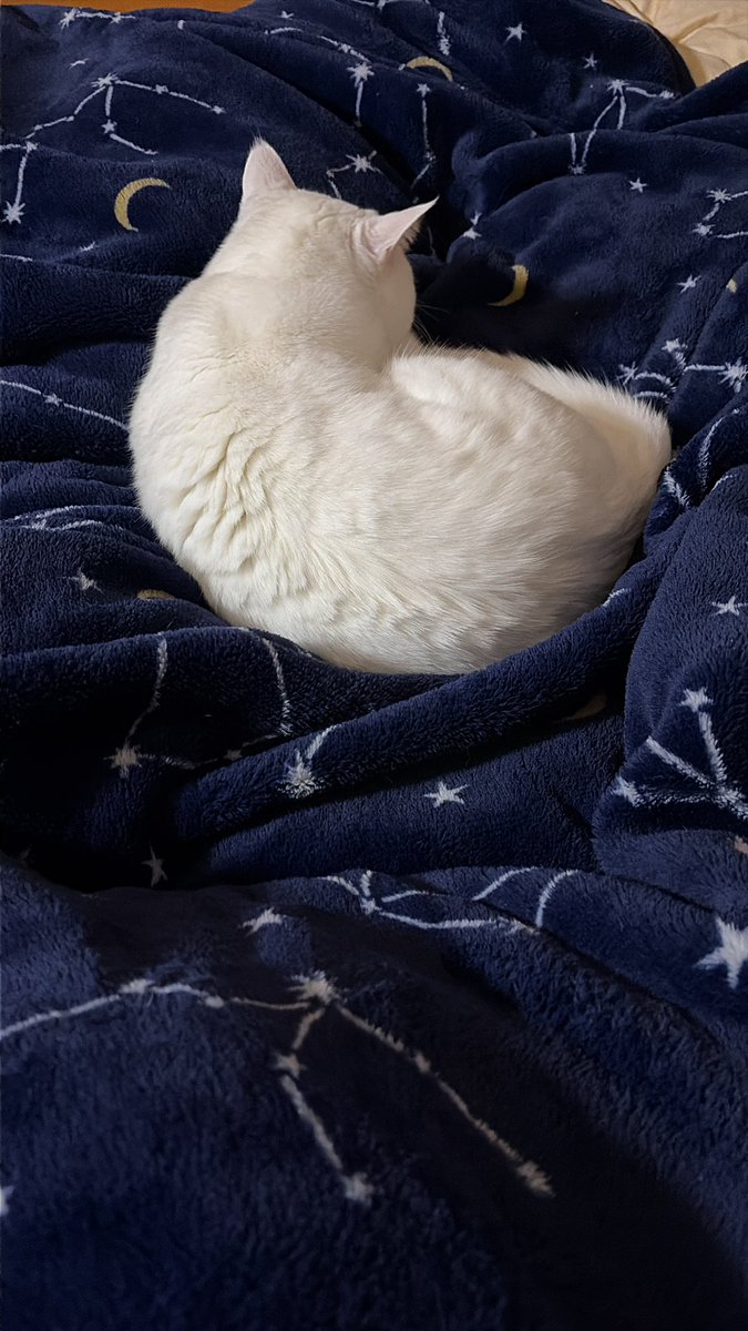 Ranico🫧 (@feriz1_117) / Posts / X