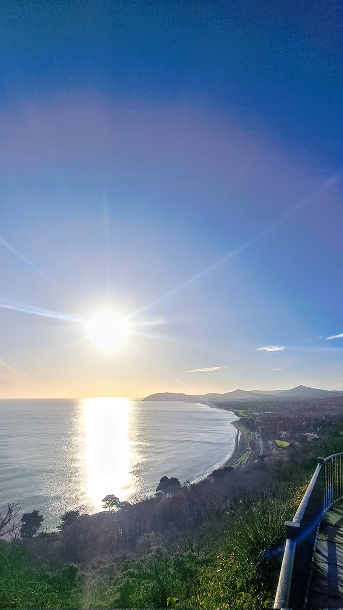 Don Sheahan tweet media