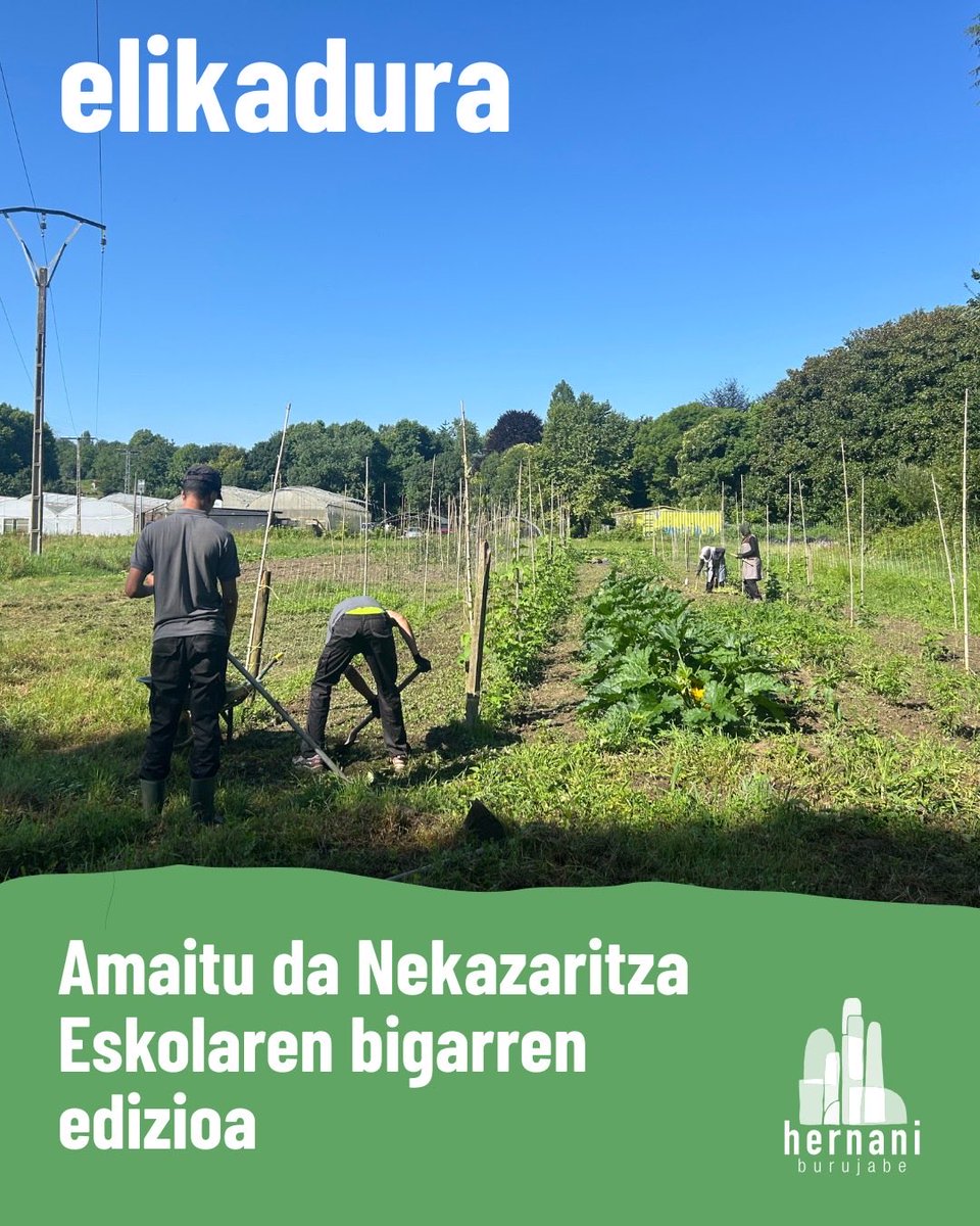 HernaniBurujabe tweet media