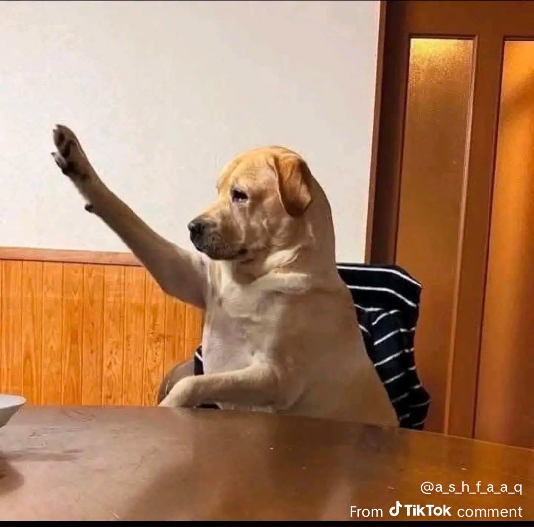 Aro Intern tweet media