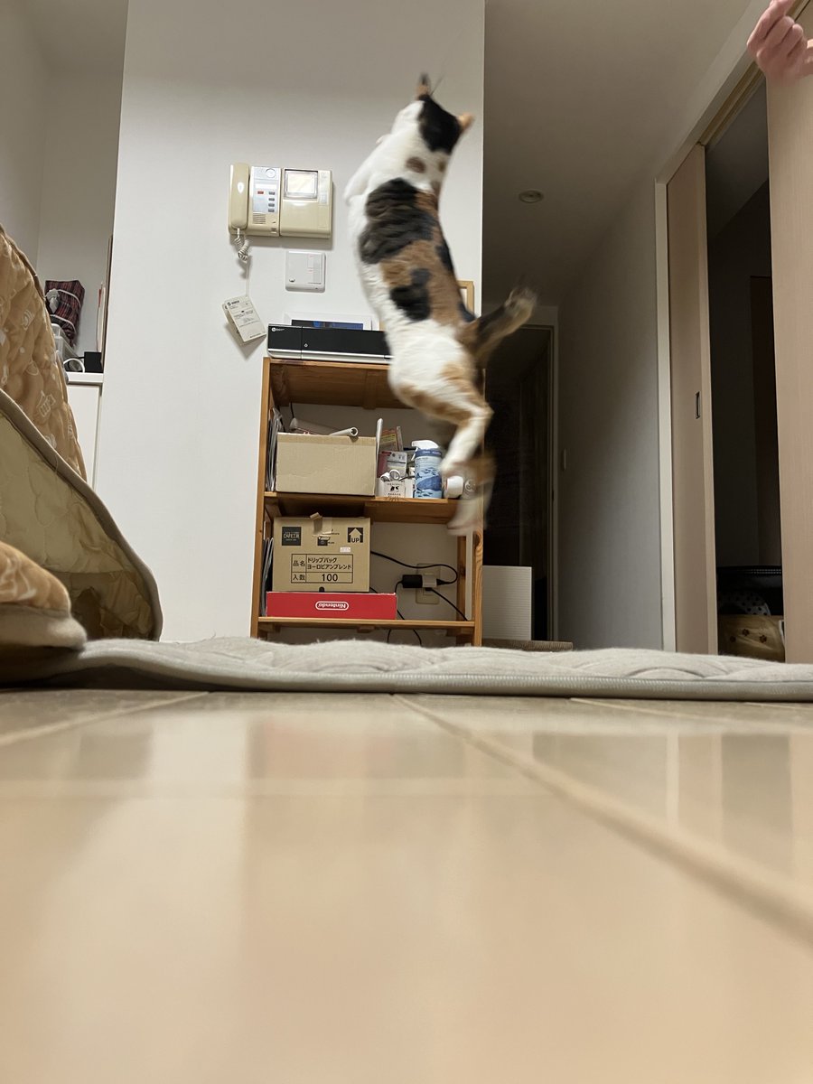 ジャンピンこーッ