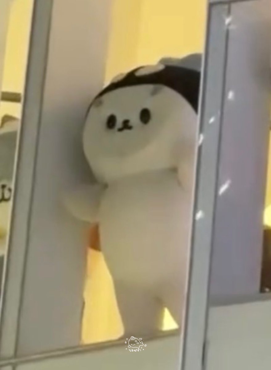 taytawanewwiee's tweet image. ช่วยด้วย หลานกุทำอะไรไม่รู้ ขำมาเป็นนาทีแล้ว55555252255555252555525252555555525525252525555525252255

POLCASAN AT SPOTIFY25 
#POLCASAN #ยัยซัง 
#SpotifyWrappedLiveTH2025