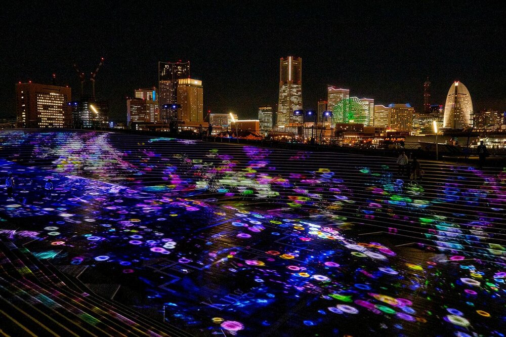 あゆゆん♪ (@ayu_littlewing) / Posts / X