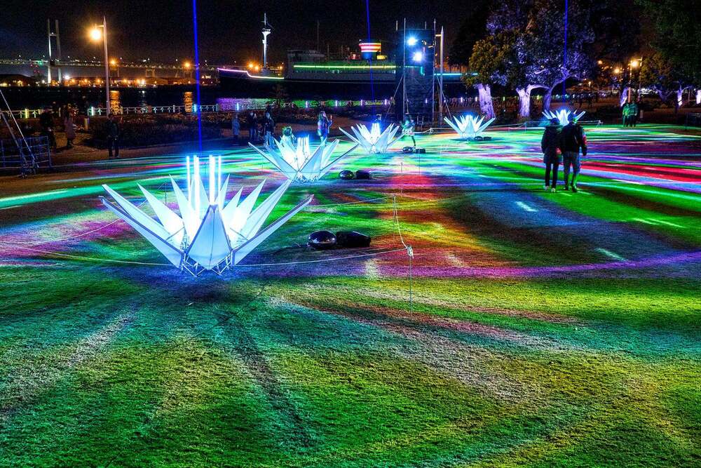 あゆゆん♪ (@ayu_littlewing) / Posts / X