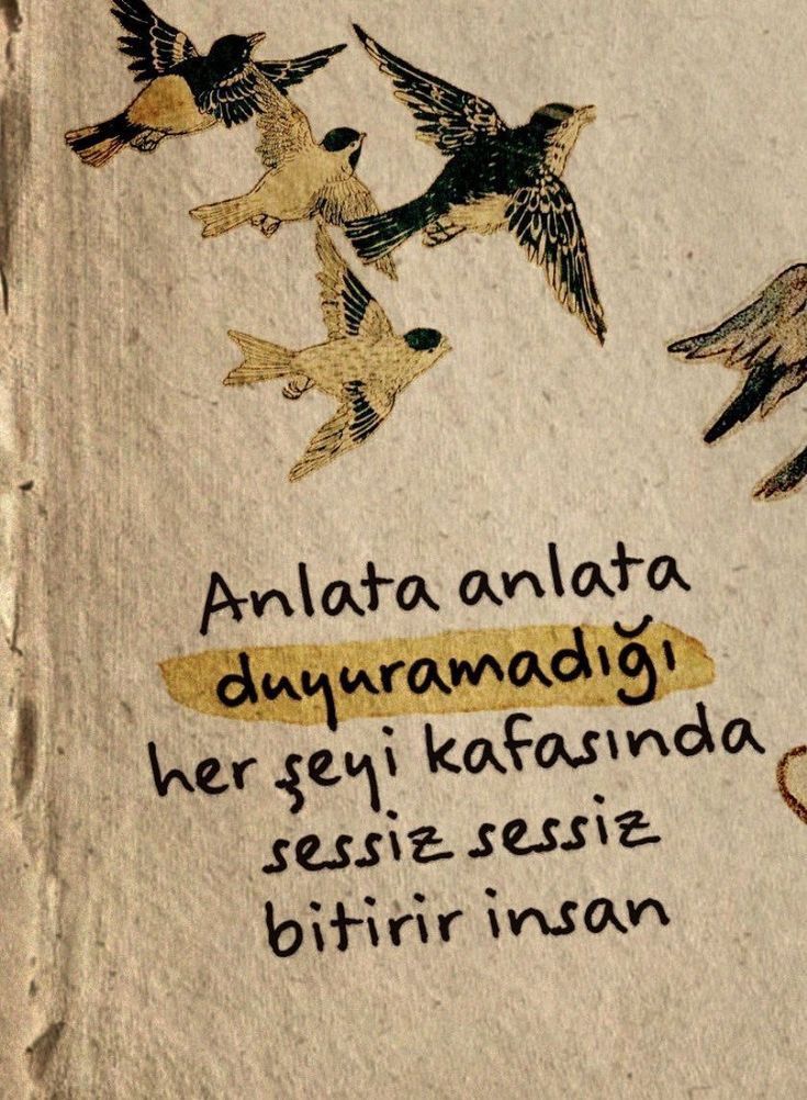 Hanedan Sahhaf (@hanedansahhaf) on Twitter photo 