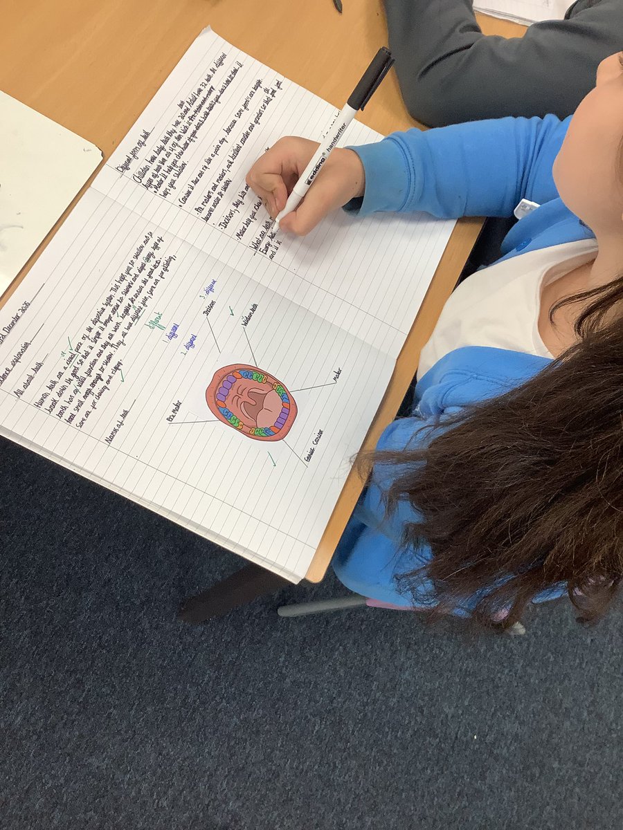 Gaskell_LKS2's tweet photo. @GaskellPrimary @GaskellWriters @GaskellScience class 4H are writing about teeth. #enamel #teeth #lookafteryourteeth #canine #incisors #molars https://t.co/UrxDpfICTX