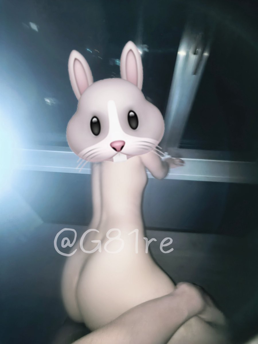 蜜汁兔头 tweet media