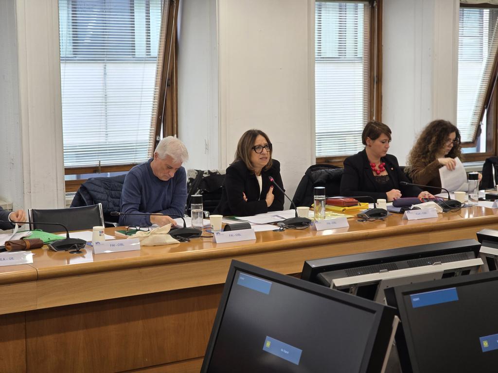 fai_cisl's tweet image. #4dicembre #Roma 🟢🔴🔵 
✍️ Contratti: presso la Conferenza delle Regioni e delle Province Autonome riunione in sede plenaria con la delegazione trattante di Fai-Cisl, Flai-Cgil e Uila-Uil per il rinnovo del #Ccnl degli operai idraulico-forestali. 
🌲 Il contratto riguarda un