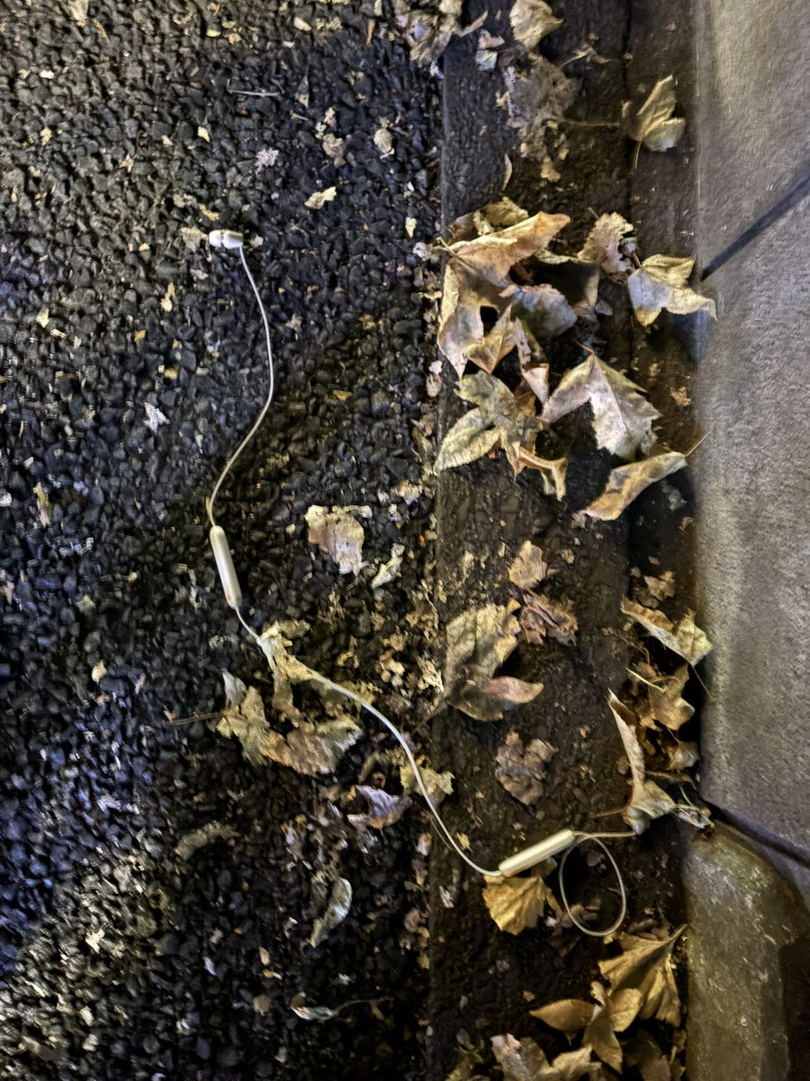 あったあああああ勝ち！！！天才！！！！