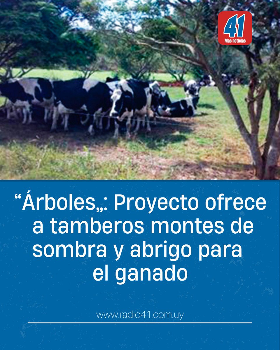 radio41sj's tweet photo. El Proyecto “Árboles” es impulsado por @Conaprole y apunta a proveer sombra y abrigo para el ganado, además de promover la captura de carbono. 
👇👇👇
https://t.co/BVRhF77iTh https://t.co/7uLZOKVzv8