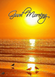 mnurachman19's tweet photo. 🌞Good morning🌞 https://t.co/LypxxQbZce