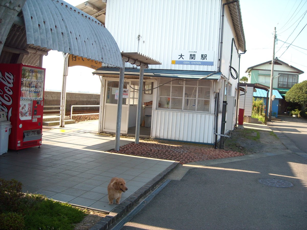 りんパパ2022NUEVO (@2022NUEVO1) / Posts / X