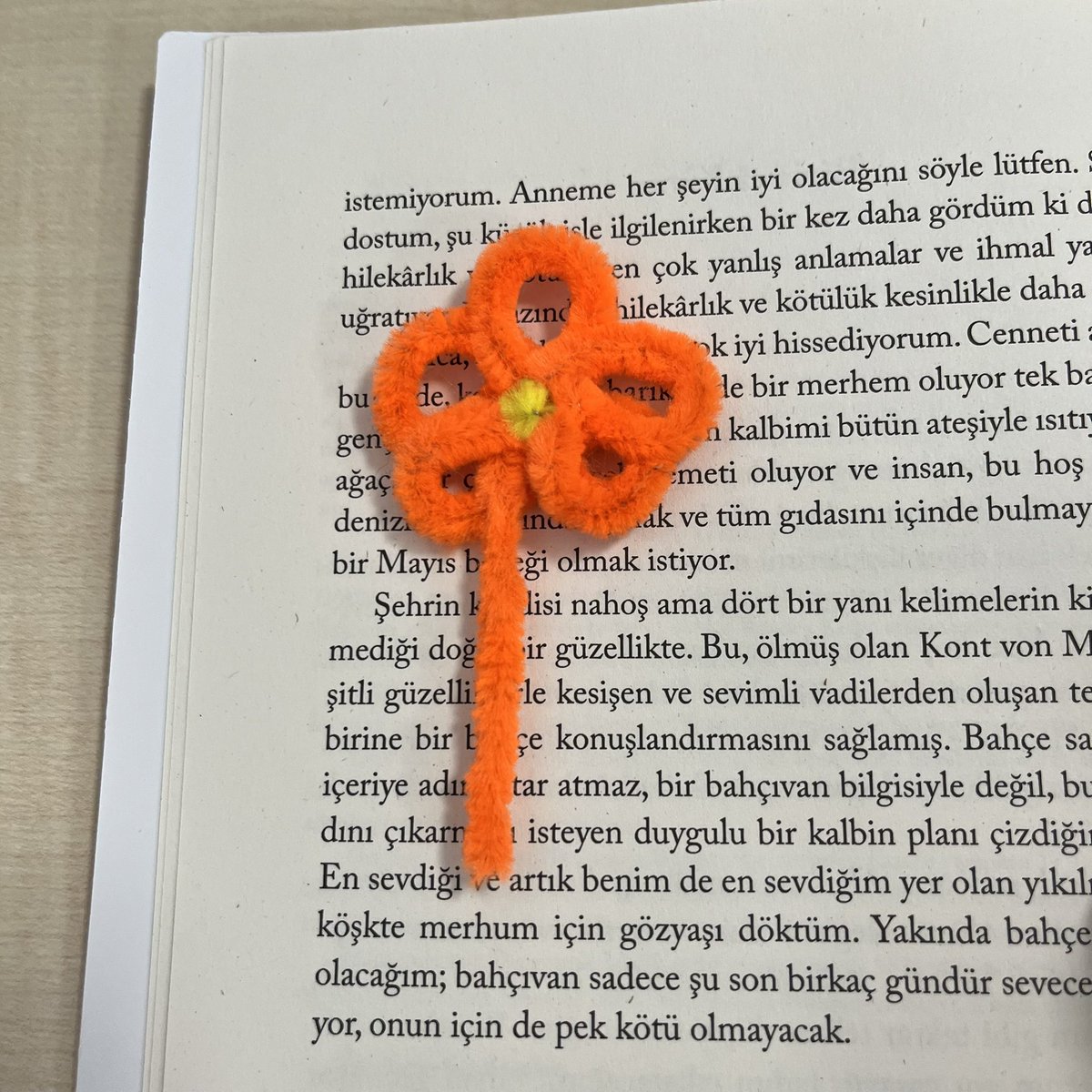 Basit yaşamın muhteşem ayrıntıları .