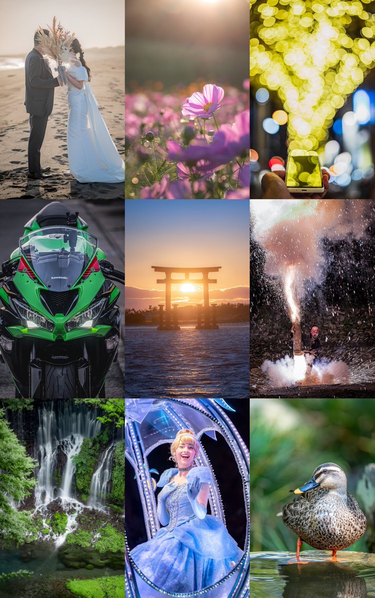 みんなの縦写真見せて 寄ってらっしゃい見てらっしゃい！ ご自慢の縦