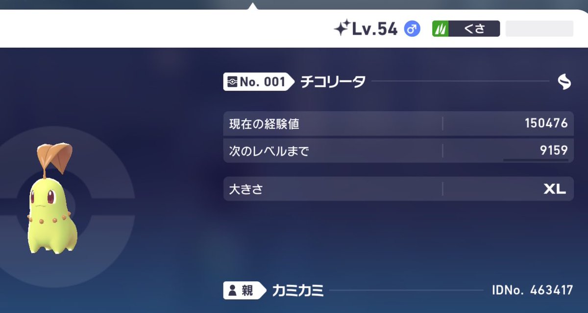 XL、！？！？