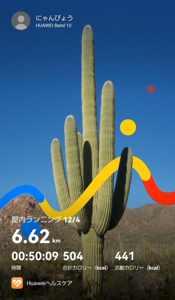 にゃんぴょう🌻 (@kinajampan) / Posts / X