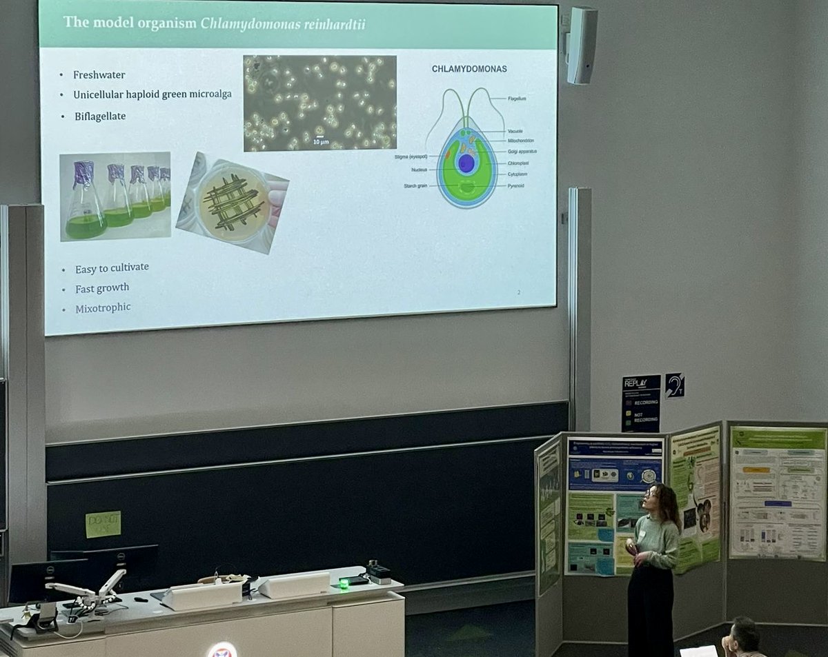 Molnar Lab tweet media