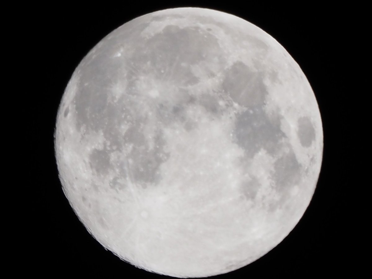 embeddedark's tweet image. #イマ月 #イマソラ #mysky  #OLYMPUS #OMD #EM1MarkIII #MZD #ED #100400mmF5063ISii #400mm #デジタルテレコン #35mm換算 #1600mm #ISO200 #f6てん3 #500分の1秒 #静音モード #手持ち #5軸シンクロ手ぶれ補正ON #JPEG撮って出し #トリミング