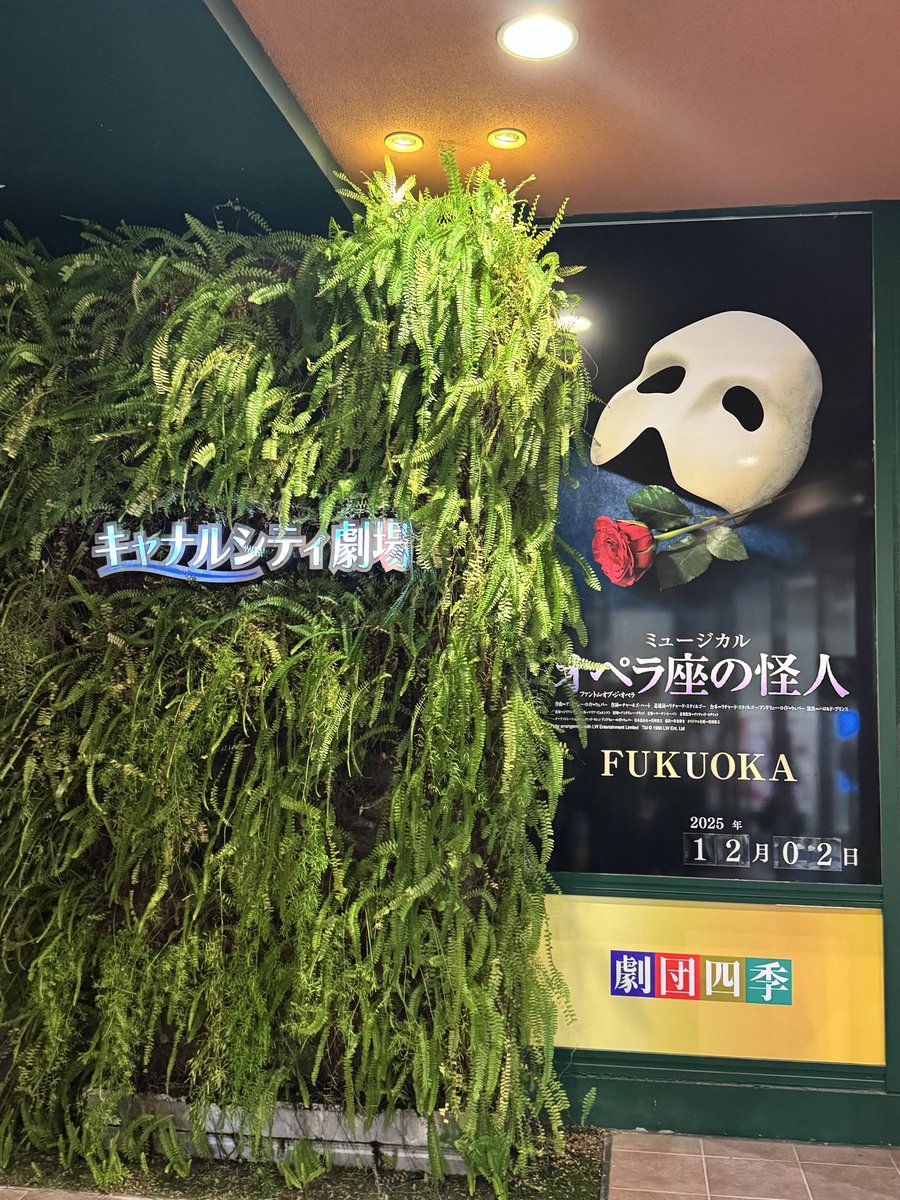poncha828's tweet photo. #オペラ座の怪人
#オペラ座福岡 https://t.co/7uS7WPAc24