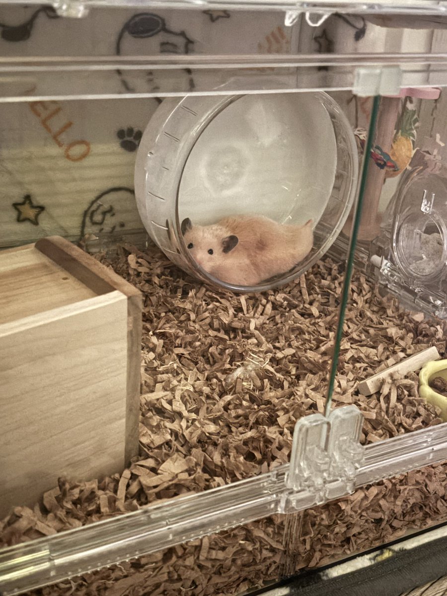 めいぽー🫠 tweet media