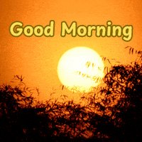 🌞Good morning🌞