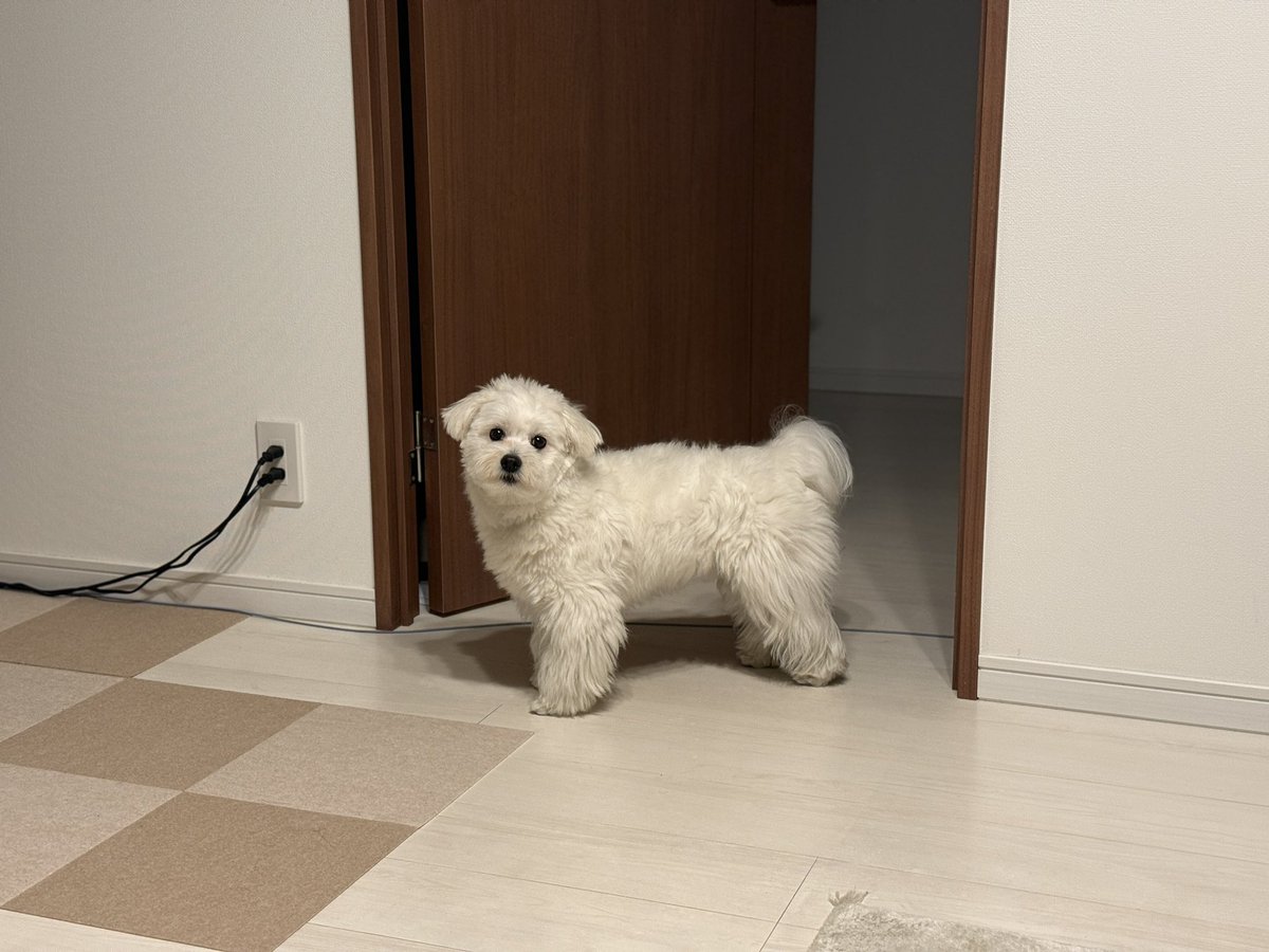 KinaRiページ♡ きなり (@_kinarinari) / Posts / X