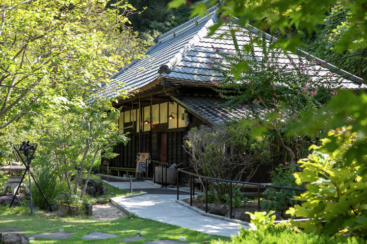 ねこてん (@nekonekodo) / Posts / X