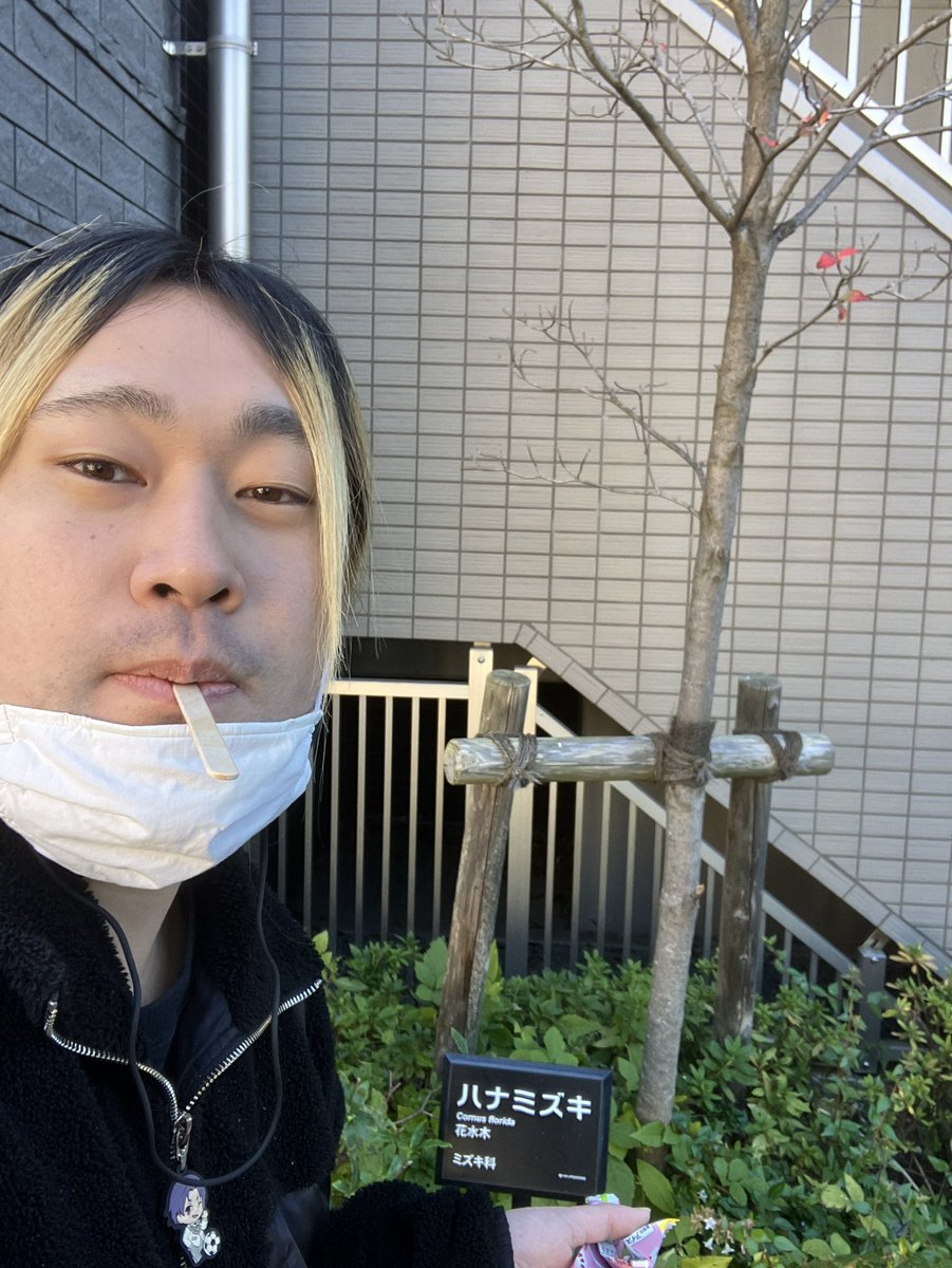 girl （田中太郎）🤓 (@ZyGrm24772) / Posts / X