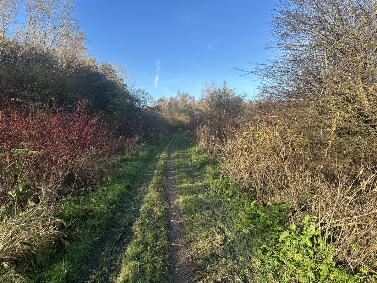 Even een rondje gewandeld, kreeg het zelfs warm 🌅🌳
⁦<a href="/wandelmaatjes/">wandelmaatjes</a>⁩ ⁦<a href="/loopmaatjes/">Loopmaatjes</a>⁩ <a href="/wandelen/">wandelen</a> ⁦<a href="/Strava/">Strava</a>⁩ #Wandelen #Balijbos #Westerpark