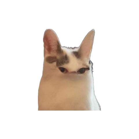 stitchaloid's tweet photo. @tazhwa @ATEEZofficial @1024updates It’s okay we just having ateez merch as food https://t.co/We0lALWgWI