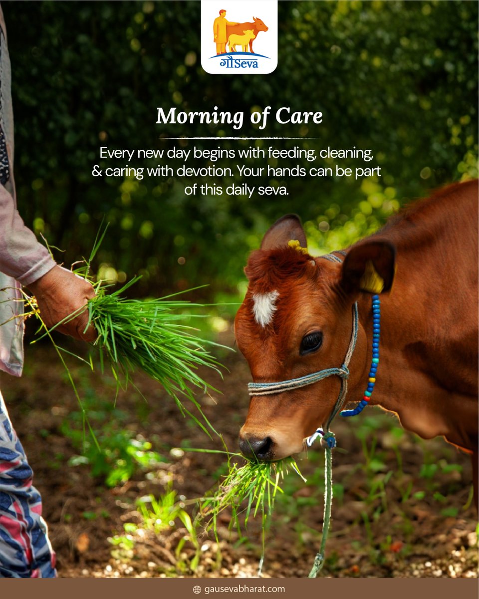 Start your week with Seva. 

Support daily care for Gau Mata at 🌐 zurl.co/OFjvw