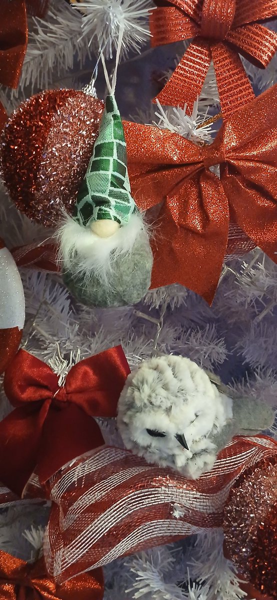 chevysgirl11's tweet photo. Good afternoon 😃👋🏼 #4thDec Gonk Patrick 💚✨️🎄 I didn't post yesterday's because it was se as Tuesdays John gonk So We have
#GaryGonk
#TheTwoJohnsGonk 😂
#PatrickGonk ✨️🎄💚
#Christmas2025
#AdventCalendar 📆 https://t.co/tuik5khDZ8