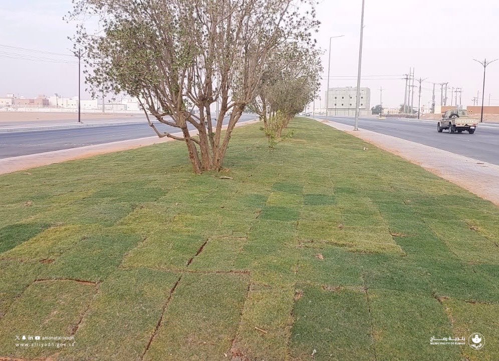 ضمن جهود #بلدية_رماح في تعزيز المظهر العام، تم تنفيذ أعمال زراعة المسطحات الخضراء في الجزر الوسطية للطرق الرئيسية، بما يسهم في رفع جمالية المحافظة وتحسين جودة بيئتها. 🌿💚
#أمانة_منطقة_الرياض