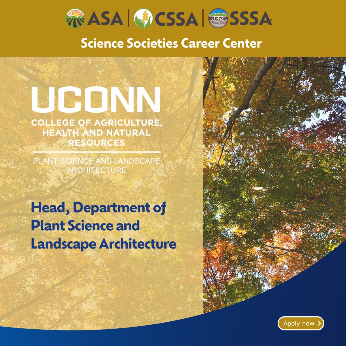 CCASoundAdvice's tweet image. @UConnCAHNR seeks a visionary Department Head. Learn more and apply: ow.ly/VCAr50XA5cM #UConnJobs #PlantScience #LandscapeArchitecture #AcademicLeadership #HigherEdJobs #DepartmentHead #ResearchExcellence #TeachingAndLearning