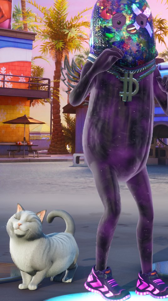 ねこちゃん可愛すぎる…