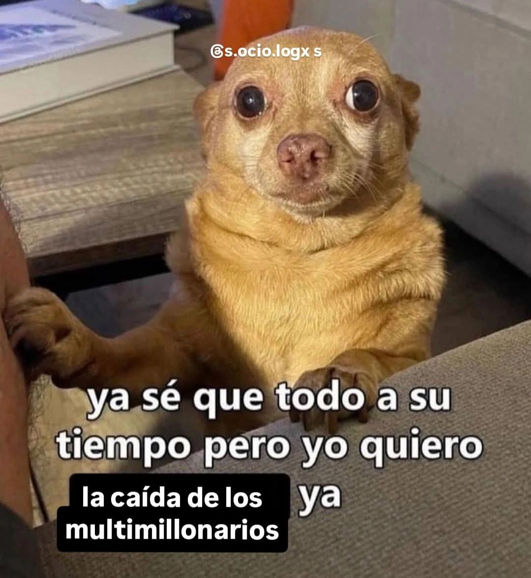 Y de la élite política  🥸