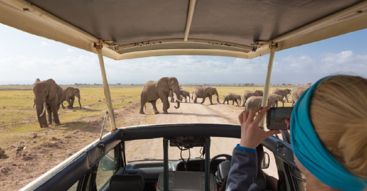 veredhasharon's tweet photo. 🌍 Unlock Africa with Vered Hasharon Travel Group.
High-quality #Africa group tours  #safaris, multi-country, culture, incentives, #adventure
50+ yrs  #DMC expertise + end-to-end ops.
Explore: https://t.co/AGsDRHgqil | https://t.co/kAAR1TovOF
#GroupTravel  #Morocco #TourOperators https://t.co/tDYXGcu8zs