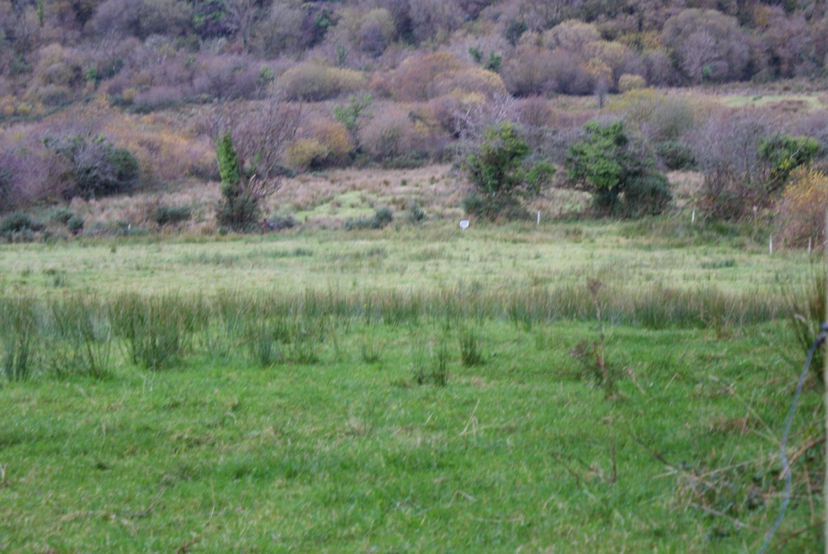 Important updates for ACRES have been issued.

Farmers and advisors involved in ACRES should make themselves aware of recently extended deadlines and other amended requirements.

Read more here: capnetworkireland.eu/updates-issued…

#capnetworkireland #SustainableAgriculture #ACRESCP