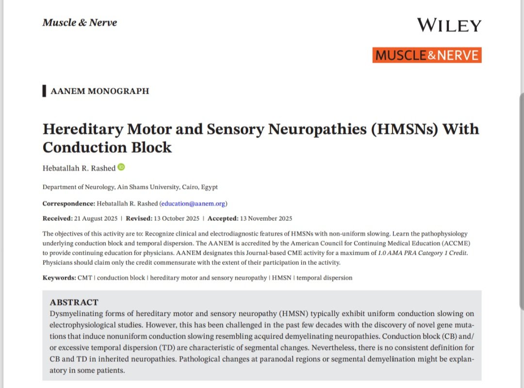 Hebatallah Rashed, M.D., PhD tweet media
