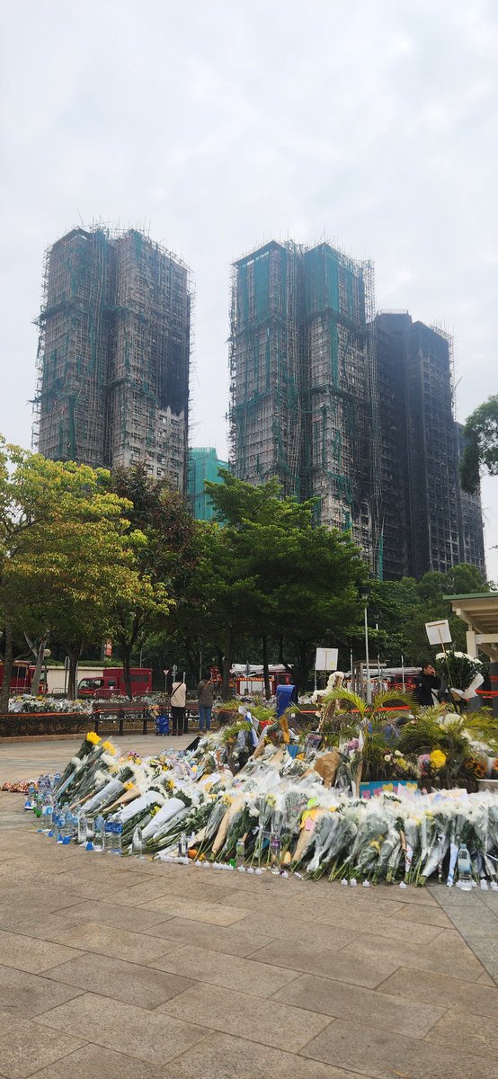 852luk.moca 🇭🇰 tweet media