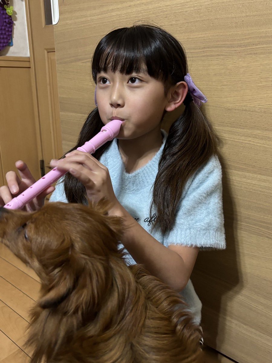 ari630_CHiCK's tweet image. おつあり💜

リコーダー吹いてる私です笑
凄い変な顔してるぅぅ( ･.･ )
私のわんちゃんが...🐶🐕
気にしないでｸﾀﾞｻｲﾈｰ
明日もお仕事、学校頑張ろぉ💪🔥
🐝⋆︎*ﾟ∗good night…✴︎🌙.°
#CHiCKちゃん #新堂杏莉 #js4