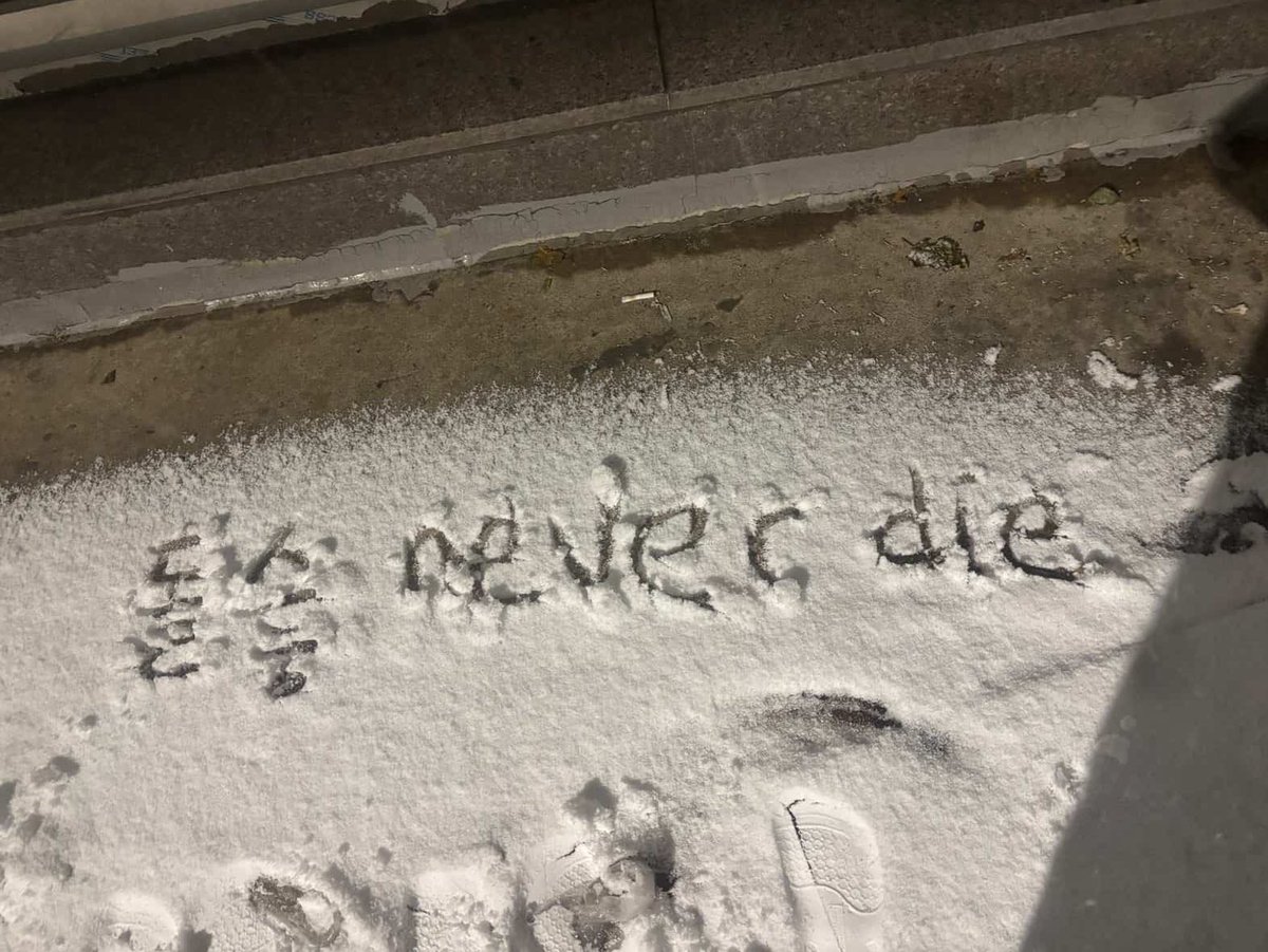 집가는길에이런걸봣어요....