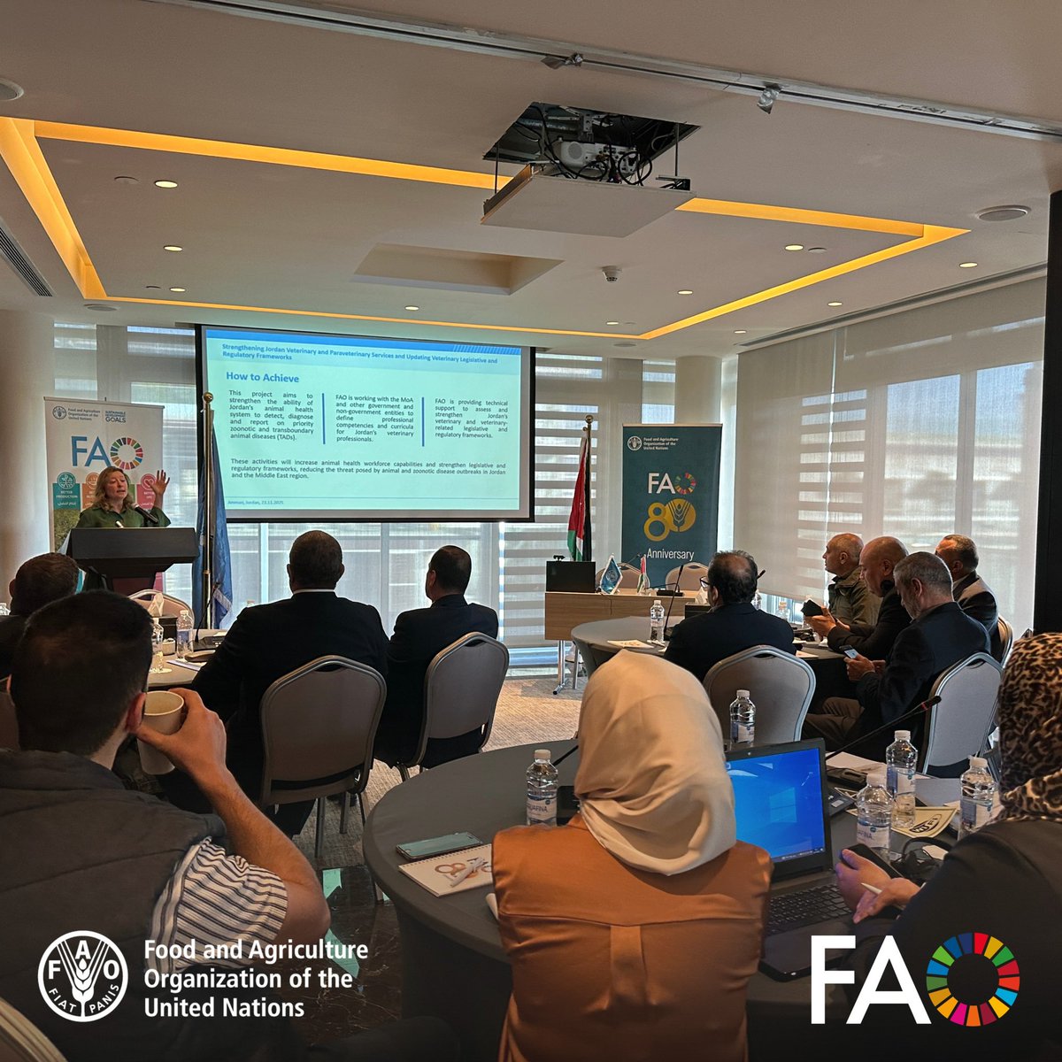 <a href="/FAO/">Food and Agriculture Organization</a> 🇯🇴 convened national partners for the first stakeholder meeting to review &amp; refine the Veterinary &amp; Paraveterinary Competency Framework📘. Strengthening workforce skills is essential to advancing animal health, One Health and resilient agrifood systems. 🐑🐄🤝
 #OneHealth