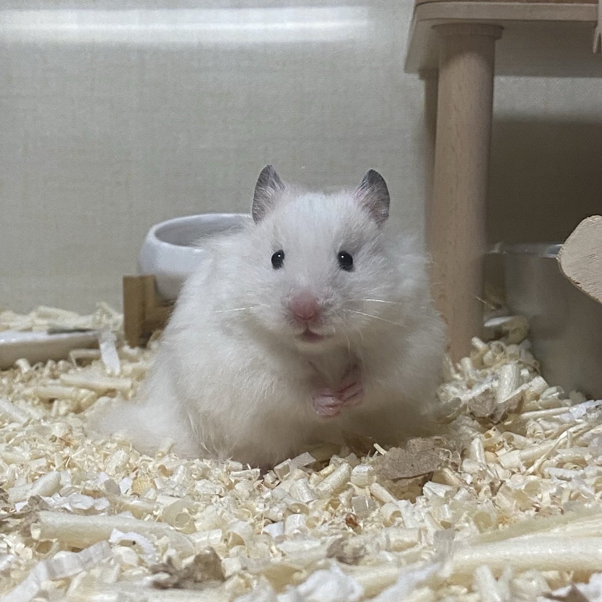 하늘에서 로다가 내린 날~~