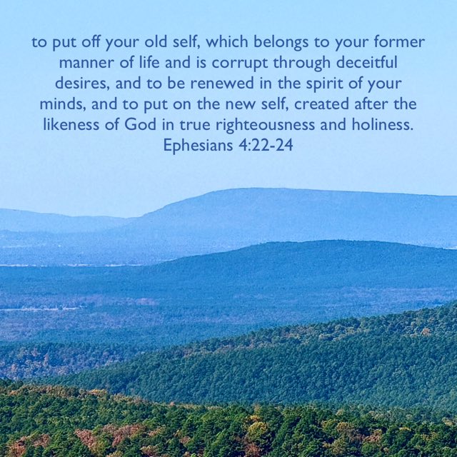 Mark Hutton (@jmark_hutton) on Twitter photo 